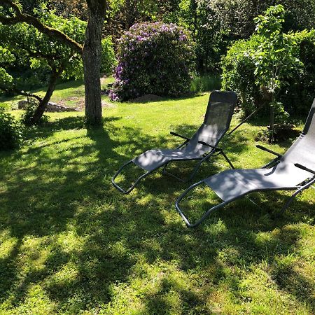 Am Alten Apfelbaum - Fewo 2 Cochem Dış mekan fotoğraf